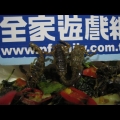 恐怖的蟲蟲大餐