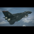 F-14D SuperTomcat -RAZGRIZ-