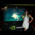 展示 NVIDIA 3D Vision