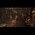 同樣由Crystal Dynamics研發的《古墓奇兵：地城奪寶》畫面