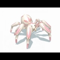 火花紋白蜘蛛