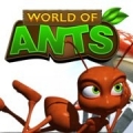 World of Ants,World of Ants