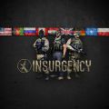 Insurgency,Insurgency