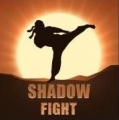 影子格鬥,Shadow Fight