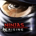 Ninjas Rising,Ninjas Rising