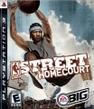NBA 街頭鬥牛：主場傳說,NBA Street Homecourt