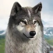 狼族崛起,ウルフゲーム：ザ・ワイルド・キングダム,rise of wolves