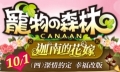 寵物森林 Canaan：迦南的花嫁,みんなの冒険大陸 カナン,Canaan（Pet Forest）