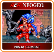 忍者戰鬥,ニンジャコンバット,Ninja Combat