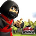 Ninja Kingdom【忍者王國】,Ninja Kingdom