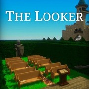 The Looker,The Looker