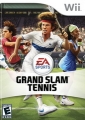 網球大滿貫,Grand Slam Tennis
