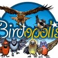 Birdopolis,Birdopolis