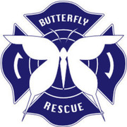 加拉巴哥的微振動,ガラパゴスの微振動,Butterfly Rescue