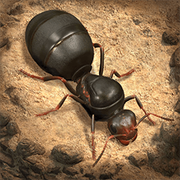 小小蟻國,The Ants - Underground Kingdom