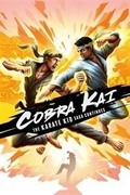 Cobra Kai: The Karate Kid Saga Continues,Cobra Kai: The Karate Kid Saga Continues