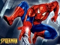 蜘蛛人,Spider-Man