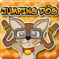 Jumping Dog,Jumping Dog