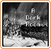 黑暗房間,A Dark Room