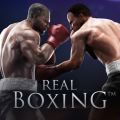 實感拳擊,Real Boxing